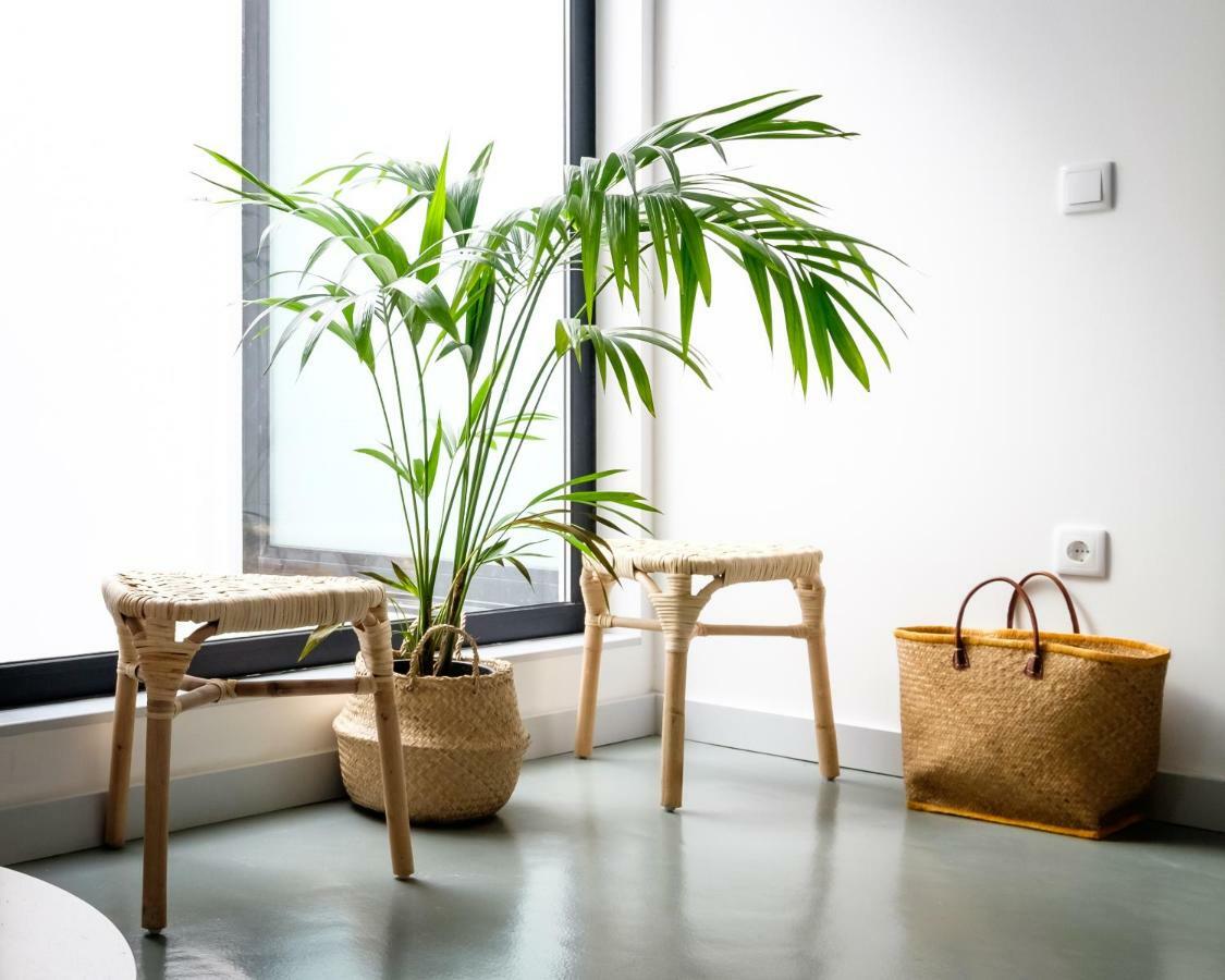 Casa Do Vento By Home Sweet Home أفيرو المظهر الخارجي الصورة